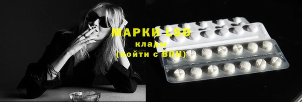 молекула духа Дмитриев