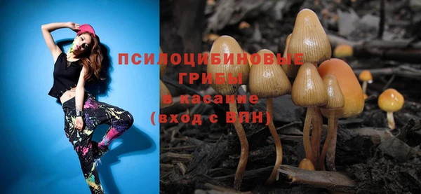 молекула духа Дмитриев